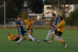 Varfjell - Tomrefjord 2021